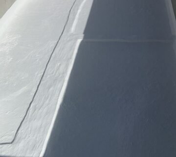 IMG 20251201 WA0005 360x320
