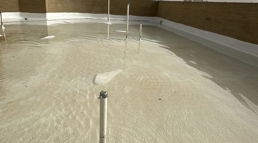 IMG 20251201 WA0008 900x500