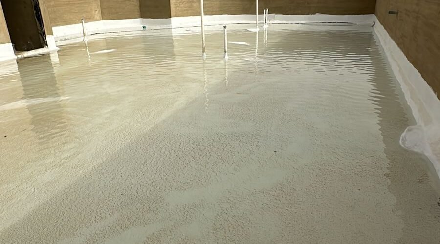 IMG 20251201 WA0011 900x500