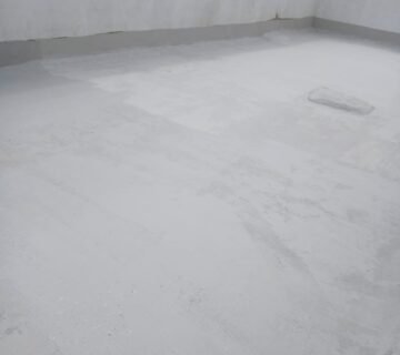 IMG 20251201 WA0017 1 360x320